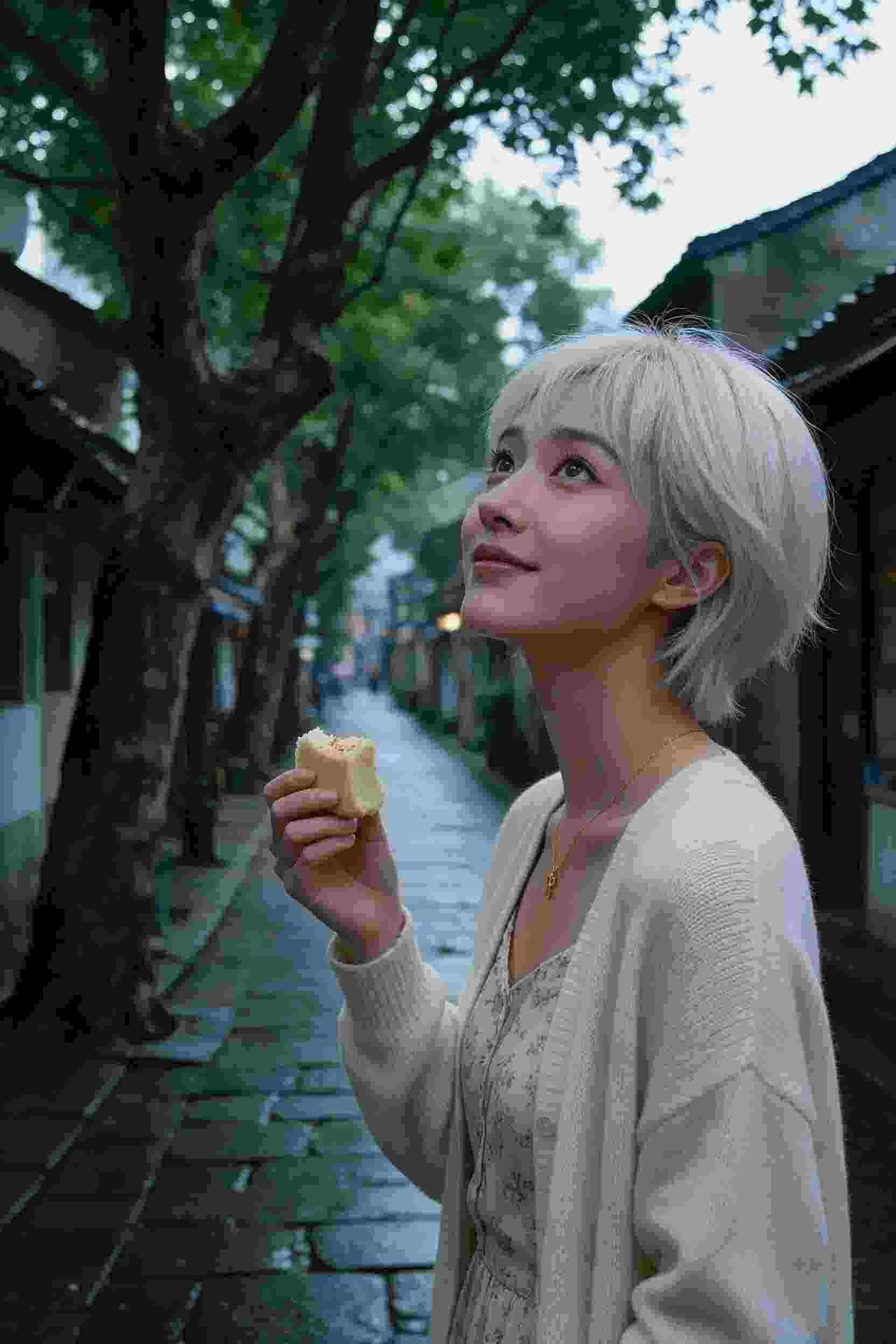 少年侠客梦